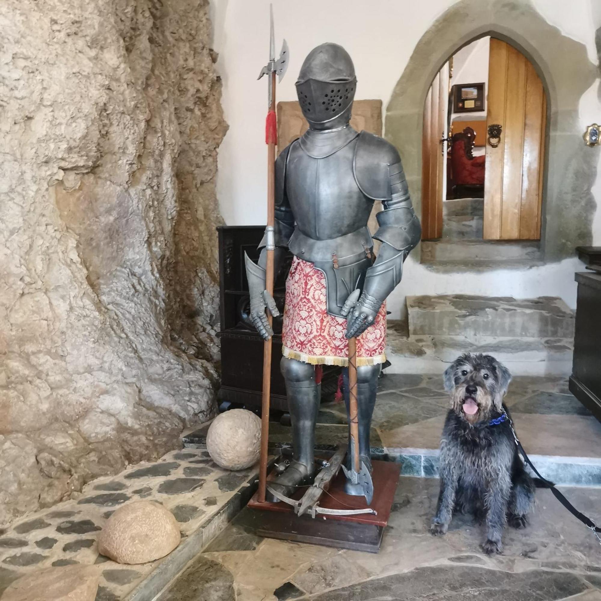 Burg Hermannstein - Kings Room Wetzlar Eksteriør bilde
